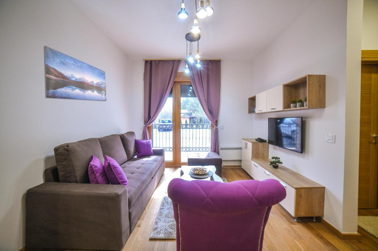 Vila Elsa Apartmani Kosta Todorovic Zlatibor Luaran gambar